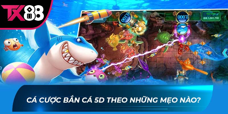 Bắn Cá 5D Cá cược bắn cá 5d theo những mẹo nào?